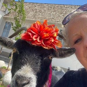 Meet your Posher, Tamara